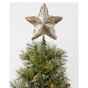 11" Tinsel Star Christmas Tree Topper Champagne - Wondershop New